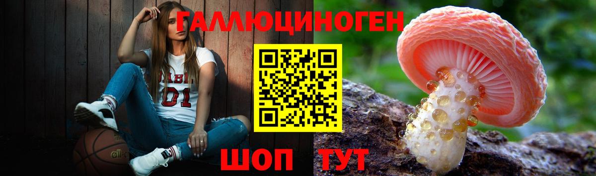 где найти наркотики  Псилоцибиновые грибы GOLDEN TEACHER  Вход с VPN  Лобня 